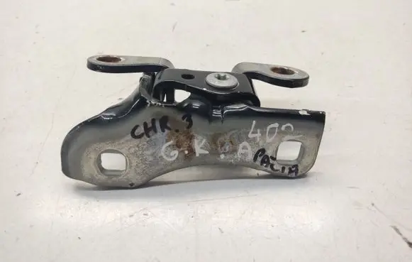 Chrysler 300 - 300C Rear door lower hinge 85574F