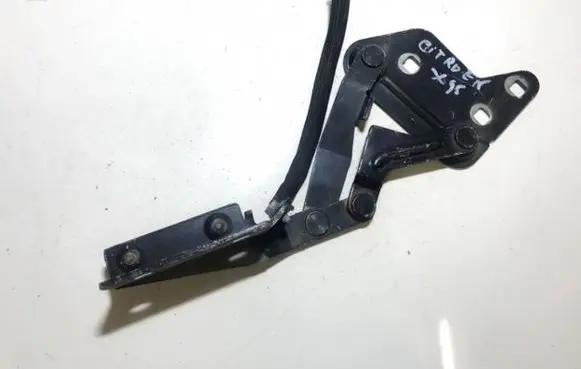 Citroen Xsara Tailgate/trunk/boot hinge