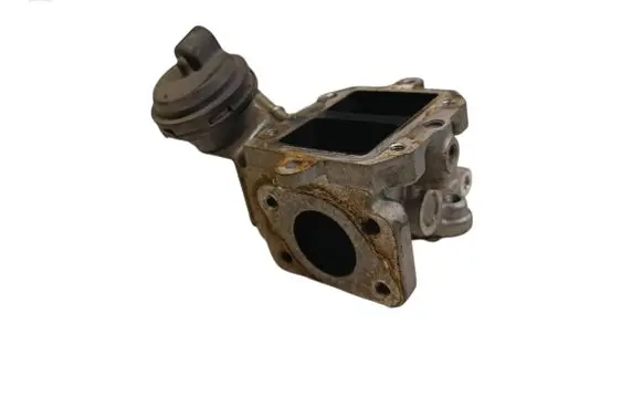 Seat Altea XL EGR valve