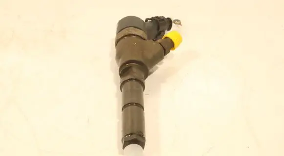 Peugeot 307 Fuel injector 0445110076