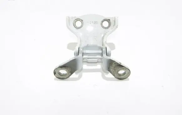 Opel Antara Rear door hinge set 
