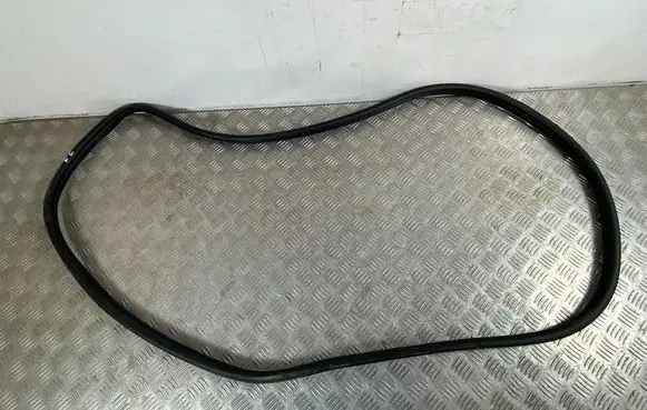 KIA EV6 Front door rubber seal