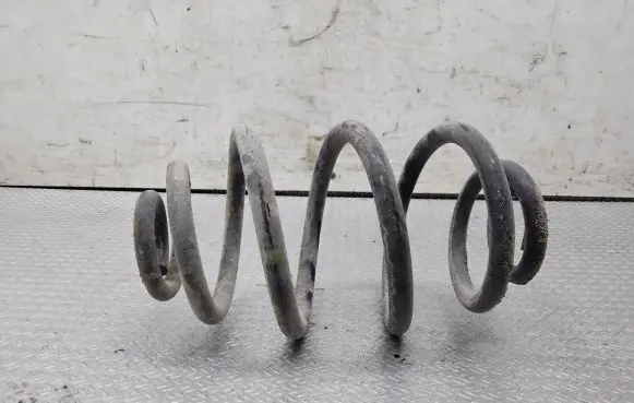 Volkswagen PASSAT B5.5 Rear coil spring