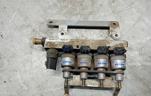 Volkswagen Multivan T5 LP gas injector 67R010185 110R000005