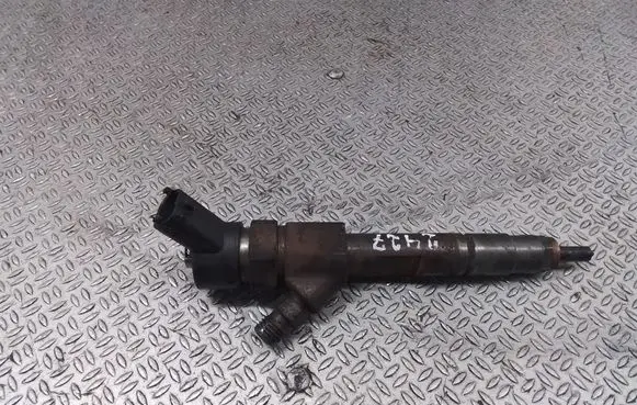 Renault Espace - Grand espace IV Fuel injector 8200100272 0445110110B