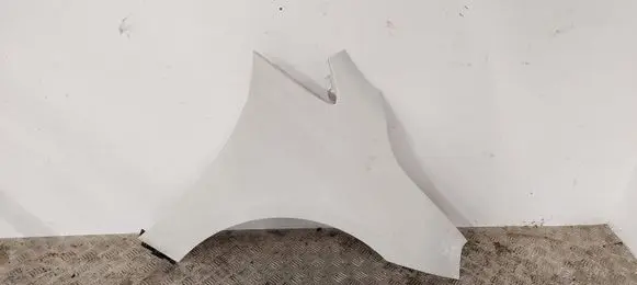 Fender