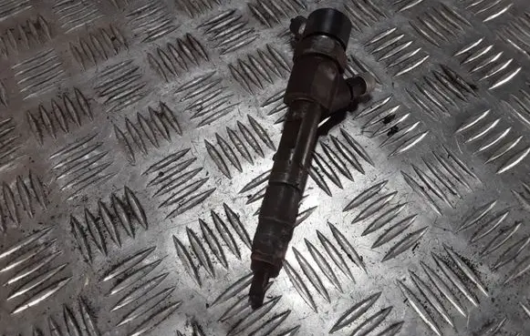Renault Espace - Grand espace IV Fuel injector 8200100272 0445110110B