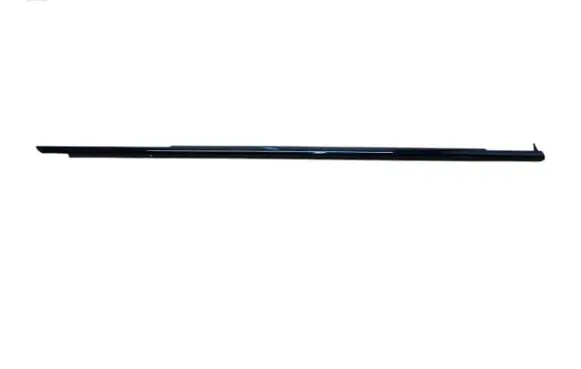 BMW 5 G30 G31 G38 Front door trim (molding) 