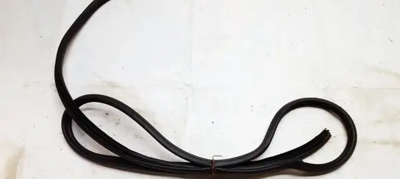 Nissan Murano Z50 Rubber seal rear door 