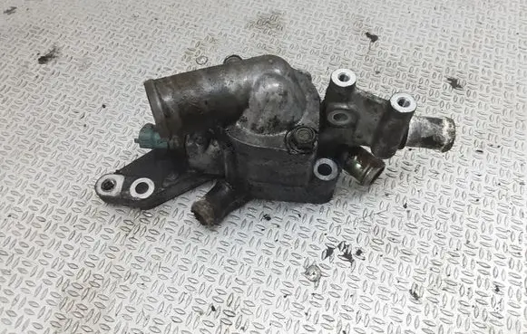 Thermostat/thermostat housing