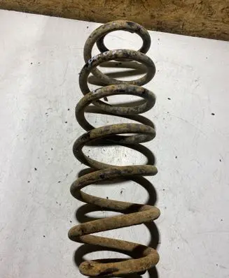 Rear coil spring