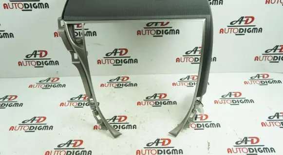 Subaru Trezia Panel trim 5541652020