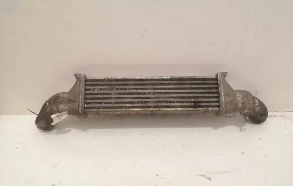 Mercedes-Benz CLK A208 C208 Intercooler radiator A2025001000 16555