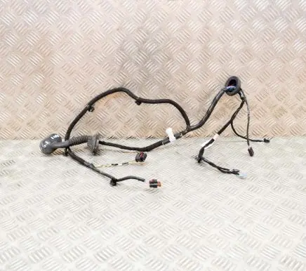 Tesla Model 3 Other wiring loom 306796600A