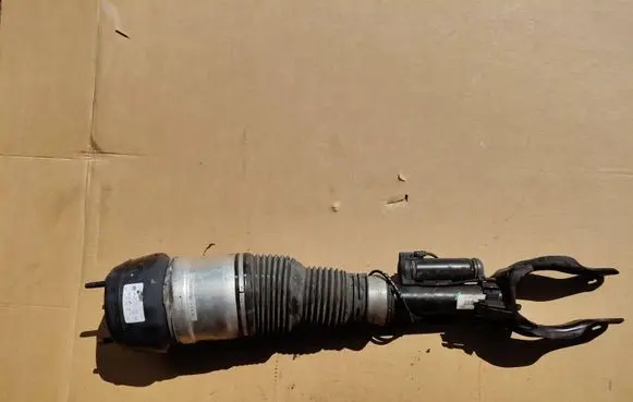 Mercedes-Benz GLS X166 Front shock absorber/damper A1663204566 P309513911