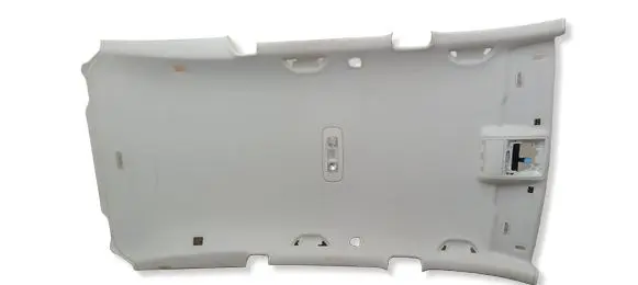 Volkswagen PASSAT B7 Headlining 3AF867501G