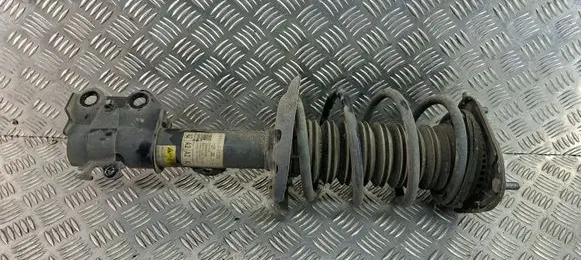 Toyota C-HR I Front shock absorber/damper 48520F4020