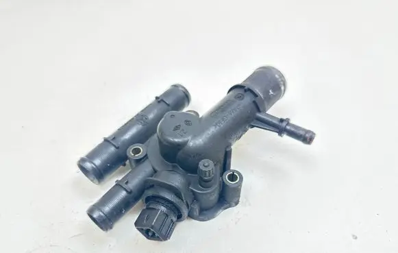 Thermostat/thermostat housing