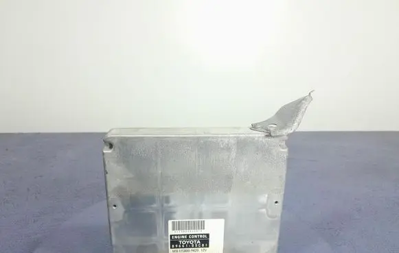Engine control unit/module ECU