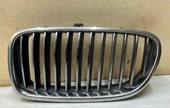 BMW 5 F10 F11 Front grill 51137200727