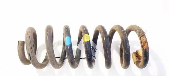Rear coil spring