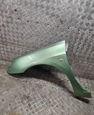 Peugeot 307 Fender