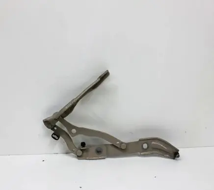 BMW 2 F22 F23 Tailgate/trunk/boot hinge 7304558
