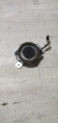 Lexus RC Rear door speaker 8924005301A