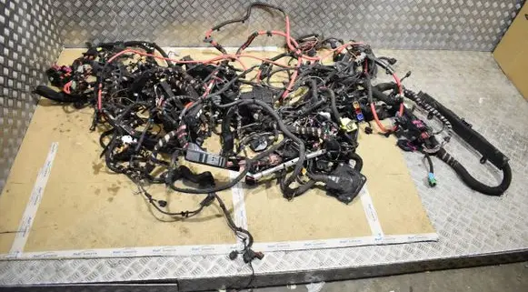 Porsche Panamera (970) Wiring harness 