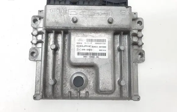 Engine control unit/module ECU