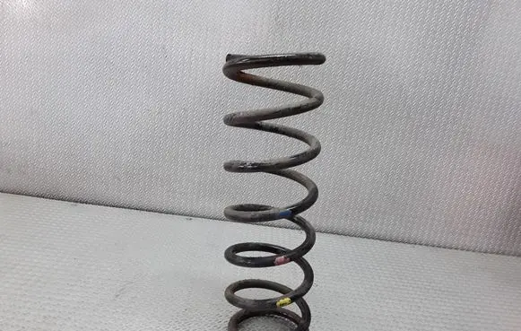 Rear coil spring