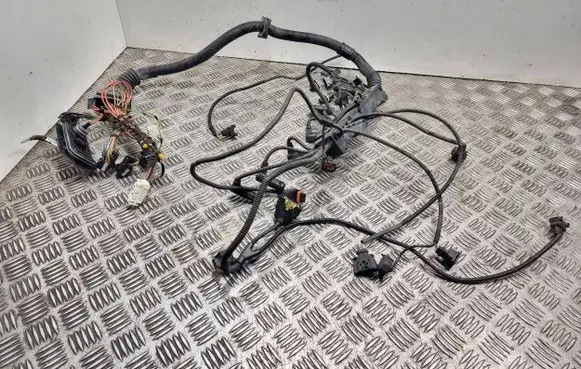 Engine installation wiring loom