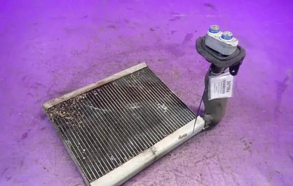 Hyundai i20 (PB PBT) Air conditioning (A/C) radiator (interior) 