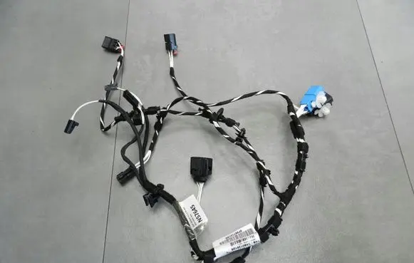 Seat Arona Other wiring loom 6F9971013G