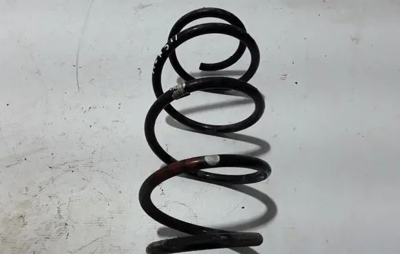 Front coil spring
