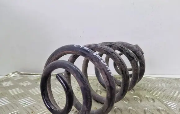 Opel Insignia A Rear coil spring