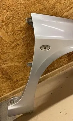 Peugeot 307 Fender