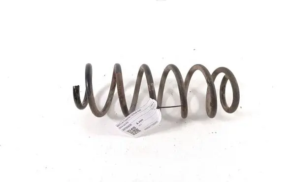 Rear coil spring