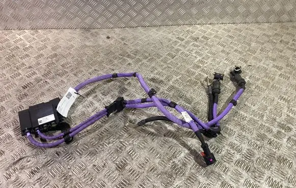 Positive wiring loom
