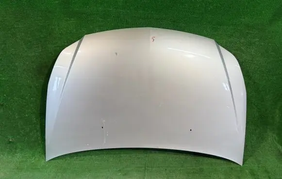 Engine bonnet/hood