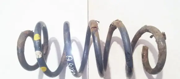 Rear coil spring