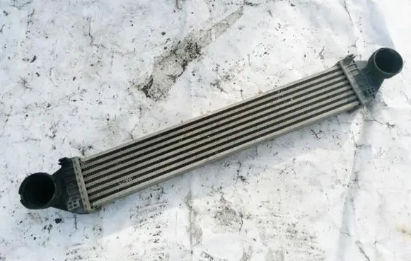 Mercedes-Benz A W169 Intercooler radiator A1695000000