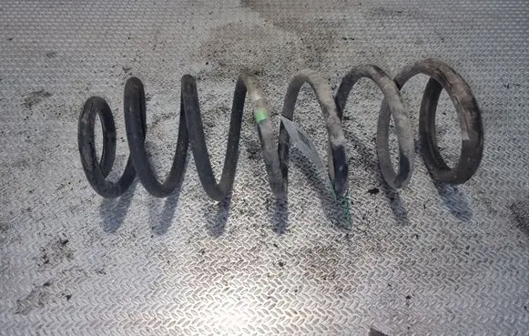 Citroen Jumpy Rear coil spring 5102R0
