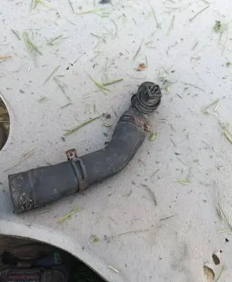 Volkswagen Sharan Engine coolant pipe/hose