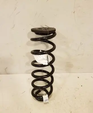Rear coil spring