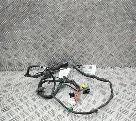 Porsche Panamera (971) Front door wiring loom 971971036 971974294A