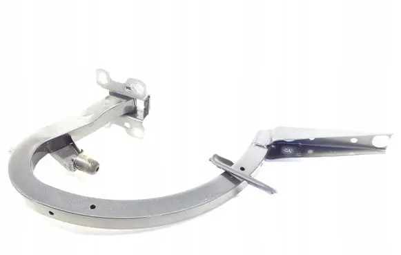 Tailgate/trunk/boot hinge