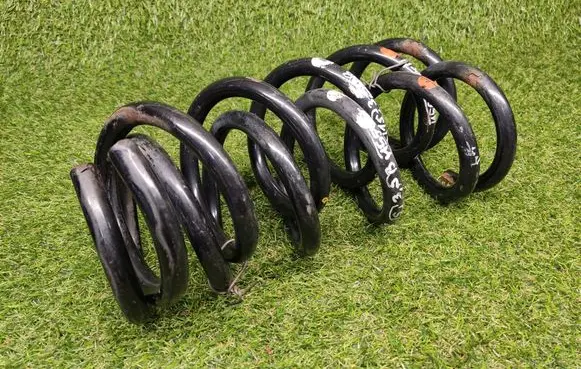 Rear coil spring