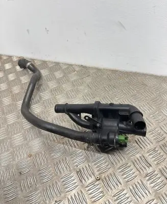 Thermostat/thermostat housing