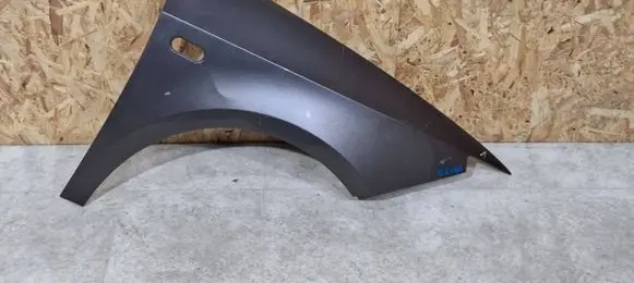 Fender